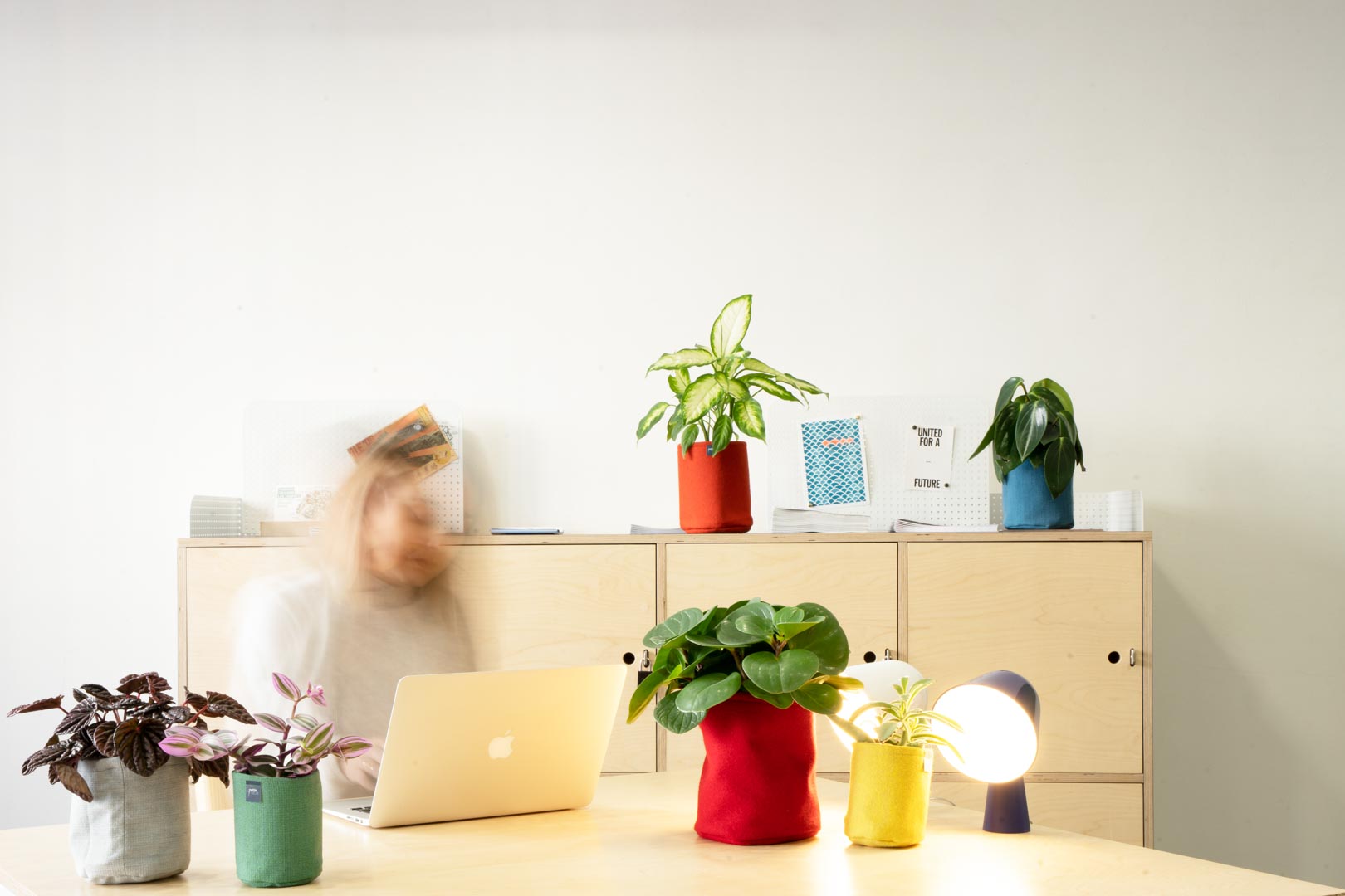 Une rentrée en VERT avec ‘Petite nature’