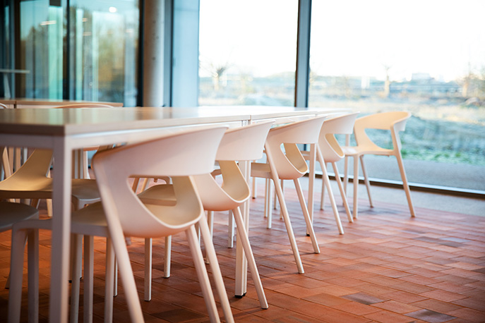 Louer des chaises de cantine