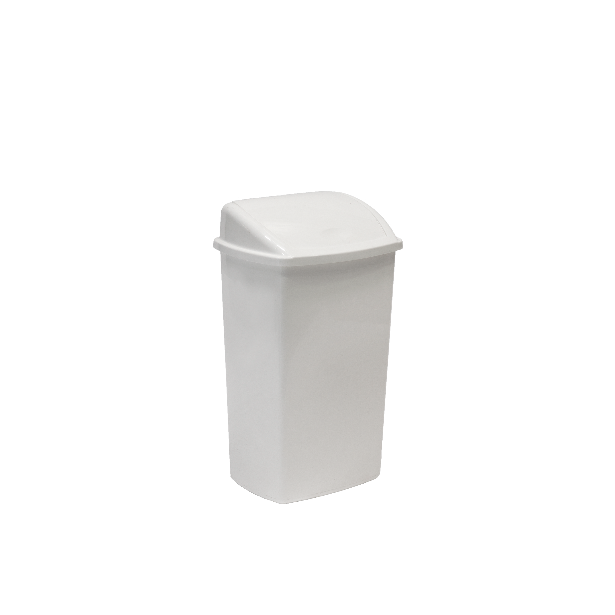 Waste bin with flap